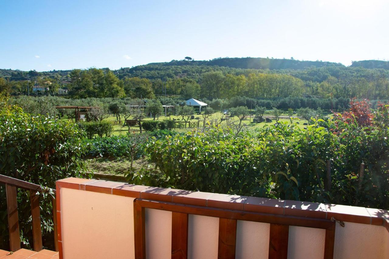 Iscairia Country House Ascea Dış mekan fotoğraf