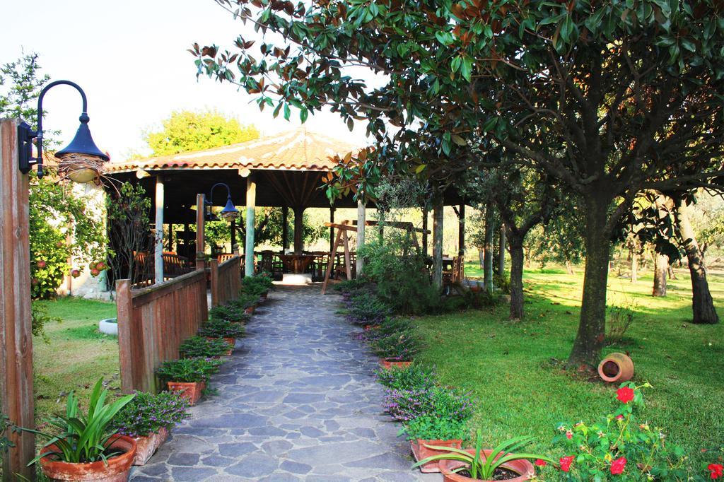 Iscairia Country House Ascea Dış mekan fotoğraf